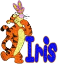 Iris