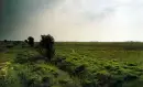 Moorland
