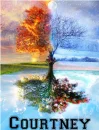 four seasons