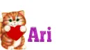 Ari-cat