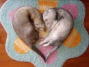 lOvE!!