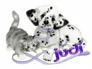 Judi