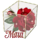 Maui - Rose Glassbox