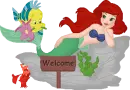 Ariel