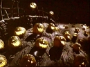 Pumpkin Patch
