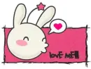 rabbit