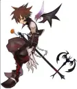 Sora