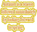 Autumn is a season followed immediately by looking forward to spring. 