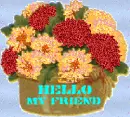 hello my friend flowers
