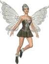 Fairy 