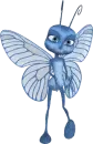 Ant
