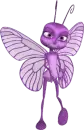 Ant