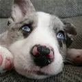 blue eyes