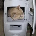 PC repair