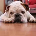 cute face