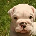 so cuteee