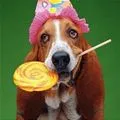 sweet lolly