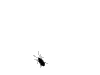 Bug