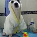 after bath