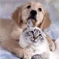 cuteee