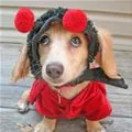 cuteee