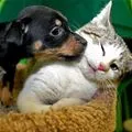 get away from me...
