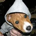 cuteee