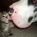 big kiss