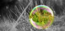 SOAP BUBBLE. :D