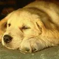 just a nap
