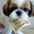 money...money