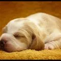 nap time