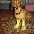 nice boots :)