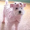 pinky :)