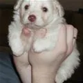 cuteeee
