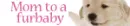 mom to a furbaby