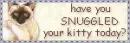 have you snuggled your kitty today