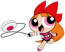 blossom ppgz