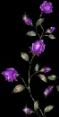 purple rose