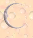 Fading Moon Fairy