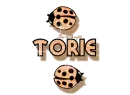orange traveling ladybugs torie