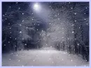 Snowy Night