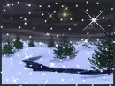 Christmas Tree Scene