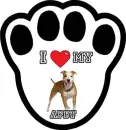 I love my APBT