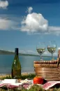 PICNIC