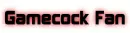 Gamecock Fan
