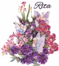 Rita