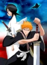bleach :D
