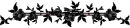 Black Rose Divider