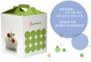 Cute Pinkberry Takeout box!!
